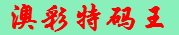 澳彩特码王 logo